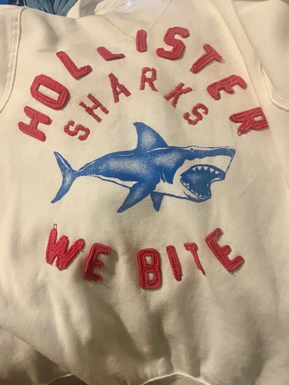 Men Small Vintage Hollister Sharks Sweatshirt